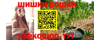 индика Волжский