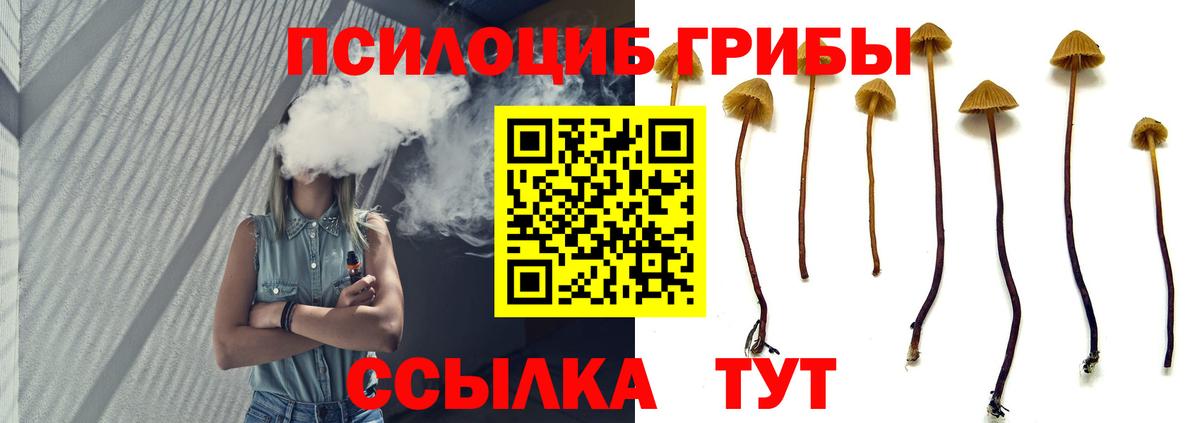 Галлюциногенные грибы Cubensis Дальнереченск