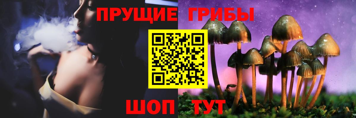 Галлюциногенные грибы Psilocybine cubensis  Вход с VPN  Дальнереченск 