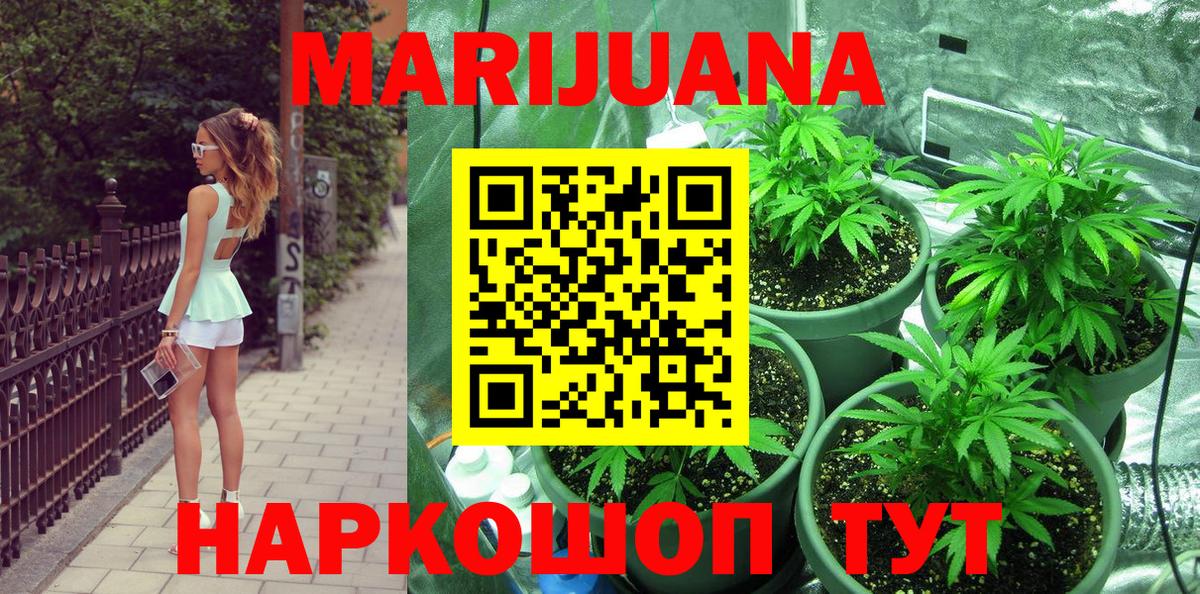 Шишки марихуана MAZAR  Шишки марихуана план  Дальнереченск  Каннабис план 